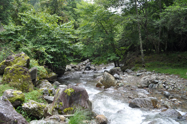 この河原のなかに中央構造線が走っています　