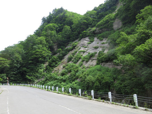 走り始めてすぐにこんな壁にでくわす　湿原に行くつもりだったのが、この瞬間に地層観察に切り替わった