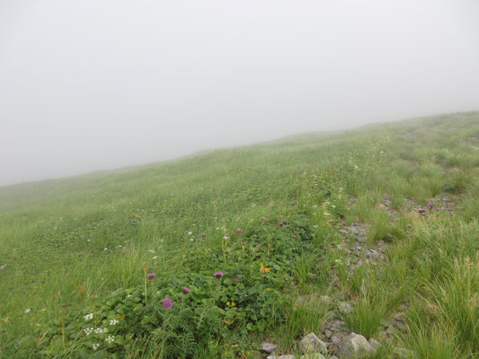 地図にも強風地帯だが花畑がきれい、とある場所