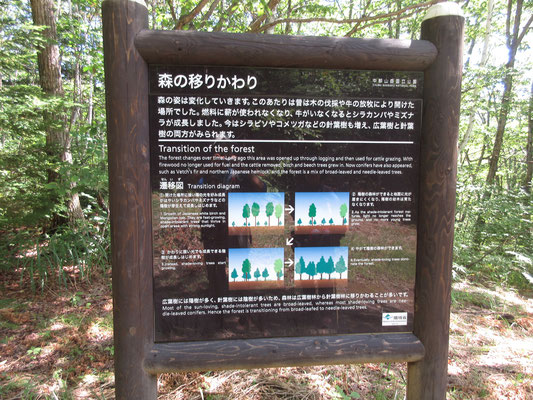 そこにちょうど、この森林を解説する看板が登場　「森の移りかわり」