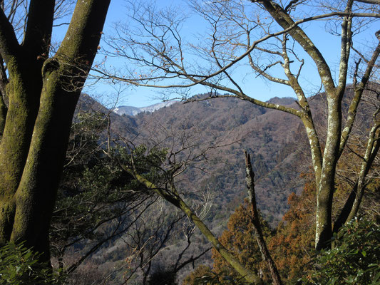 チラリと白い丹沢本峰方面　