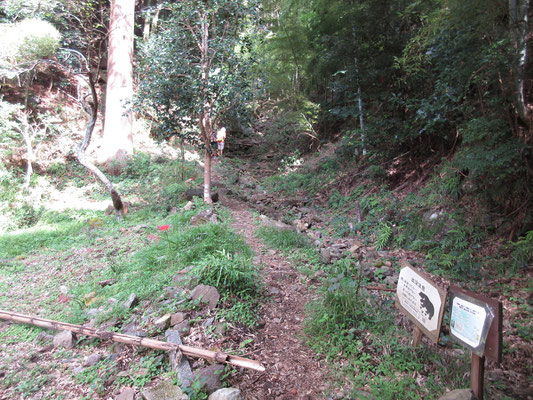 そのトイレ脇を通り抜けて、塔ノ峰への登山口　クマ注意の看板もあった