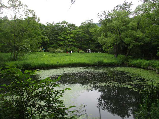 周囲の山からの水で池がみたされています