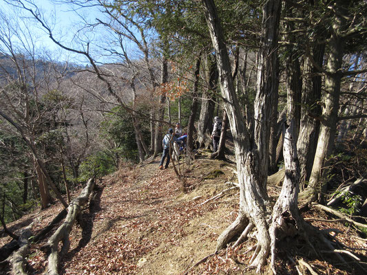 そしてこの辺りが平坦になっていて、まず一息つく　華厳山の登りでは第一、第二、第三とちょうどいい頃合いの所にこうした場所があり、休むのに好都合