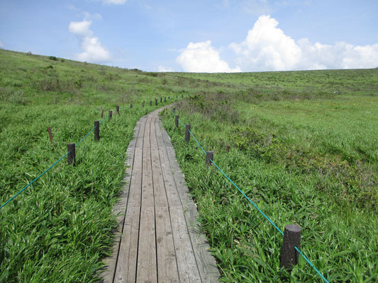 だんだんと一般登山道に近づくと木道も整備された箇所になる