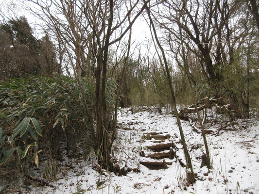 車道がすぐ脇にあるとは思えない、いい雰囲気の山道