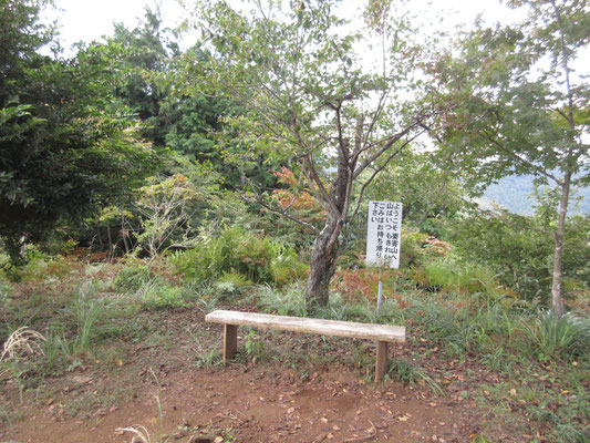 初秋の風情の山頂ベンチ　お弁当を食べに来るだけでも楽しそうな雰囲気