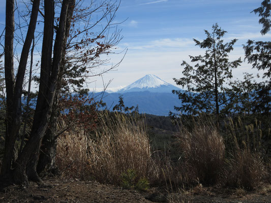 そして少し上がって向こうを覗けば、富士山