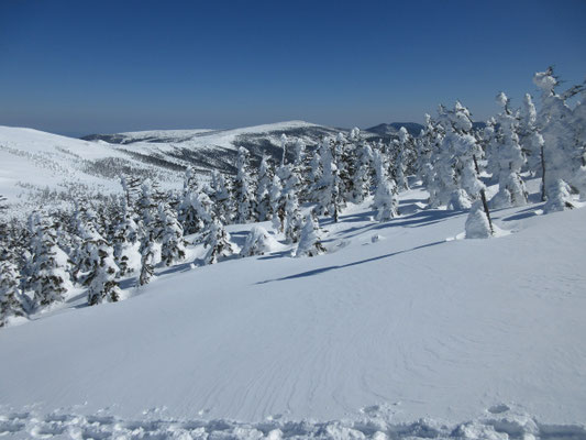 少し登ると向こうに東大顚山が見えてきた　懐かしい…