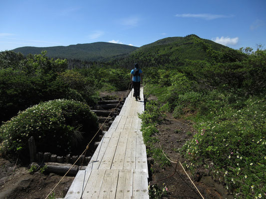 昨年に登山道整備がされたとのこと　人気の山で登山道の荒れ方も激しいのかもしれない　新しい木道が続く