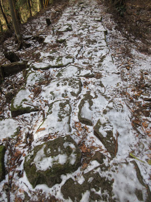 ここの登りは石畳になっている　箱根旧道の石畳のように古いものではないが、それでも濡れていたら滑りそうでかなり危険