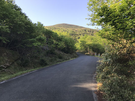 登山口のある小田越まではかなり登りの車道を50分ほど歩く　目の前に見えたのは早池峰山向かいの薬師岳