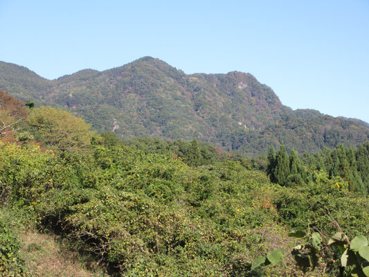 こちらは虫倉山　搬入の頃はまだ夏山だったが、いつの間にか点々と紅葉が始まってるようだ