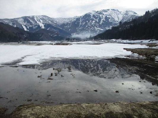 雪解けの田んぼに映る八海山