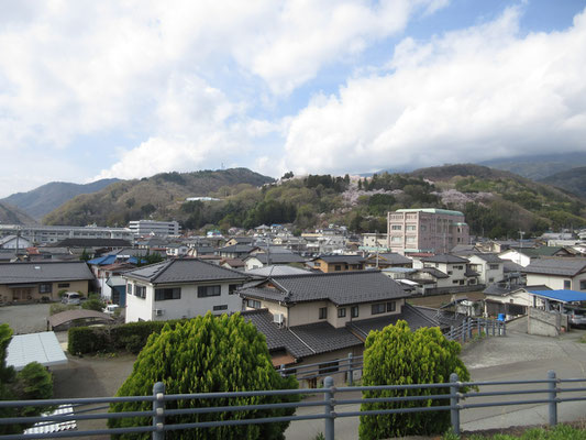 出発点の町民会館駐車場から、大法師公園の桜山を遠望する