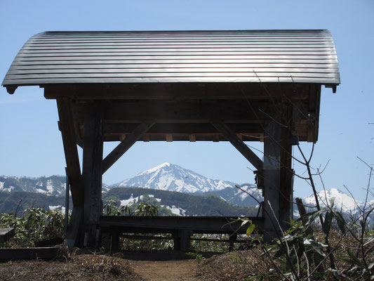 そして最後の急登階段を登りきると、この眺め