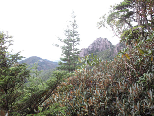 獅子岩?