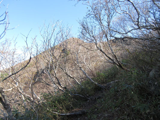 すぐに山頂が見える