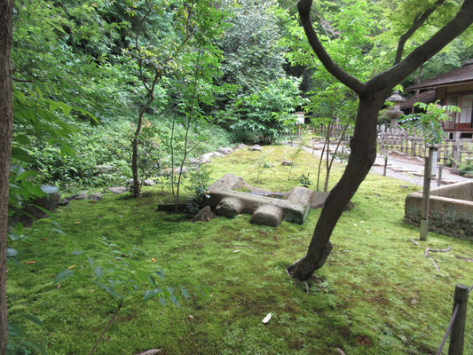 苔の庭園