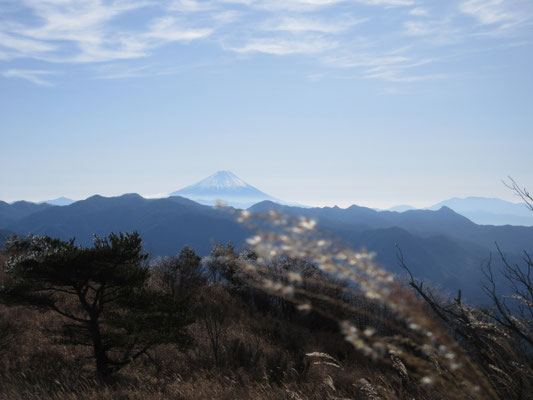 富士山も浮かんだように見える