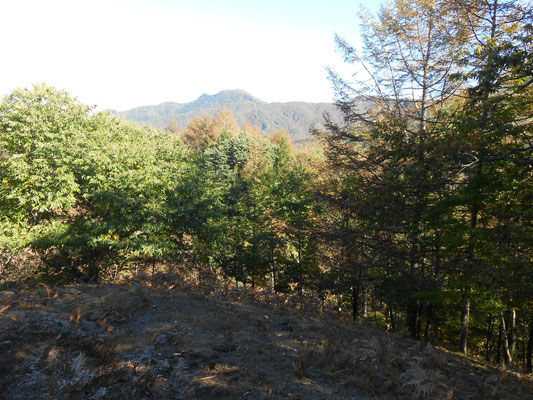 向こうに黒川鶏冠山が見えます