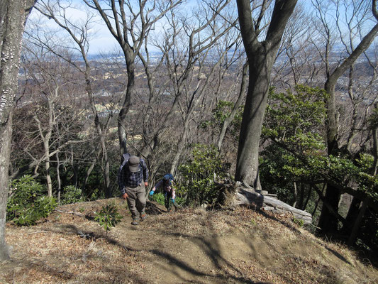 ミツマタ見物後に、そこから松石寺尾根を辿り、発句石広場を一気にめざす　この尾根は上部が特に急登