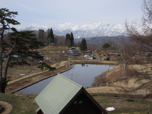 来た時（午後）と色合いが全くことなる翌朝の北ア　それにしても一ヶ月以上、季節が先のような雪の付き方