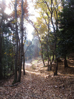 岩倉分岐から来た道を振り返る