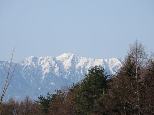 こちらは早川尾根　真っ白な小さな三角が見える　アサヨ峰