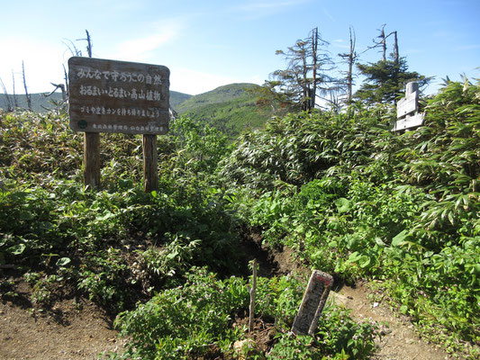 車道脇からすぐに登山口が始まる