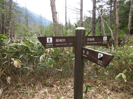 ようやく岳沢と河童橋への分岐地点まで辿り着く　随分とゆっくりしてしまった