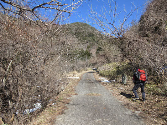 さて登山口　登り始めは周囲が梅か桃園かのような道を行く