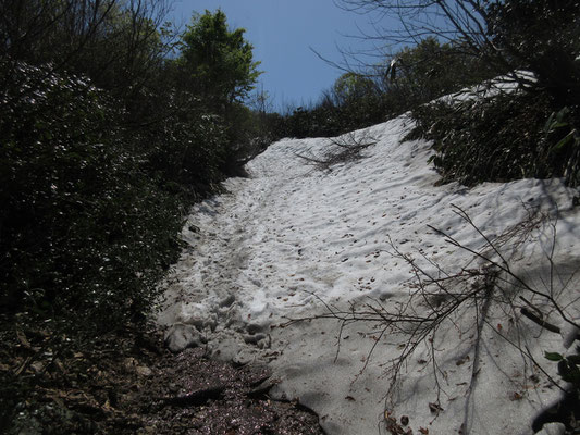 上の方に来ると何箇所か雪田の通過を繰り返す