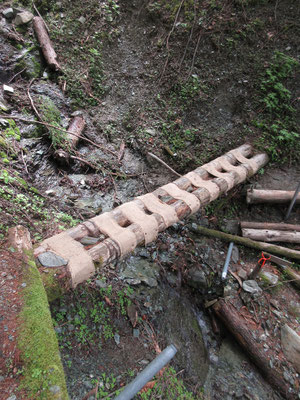 そして新しい丸木橋　こちらは問題なく渡れる