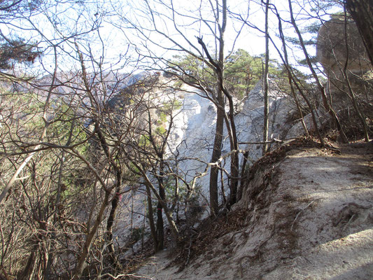 しばらく行くと、今までの山道とはまったく雰囲気を変える