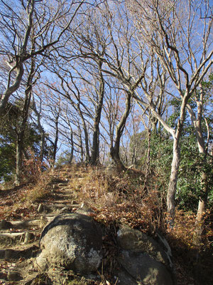 山頂に向かう