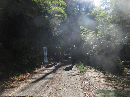 しばらく車道を登っていく