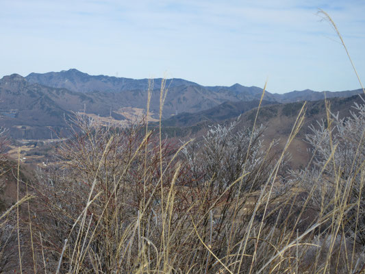 信濃川上方面を見る