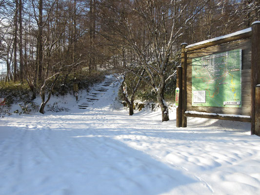 柳沢峠の駐車場から歩き始める　この日は一台も車がおらず、山も貸し切りだった