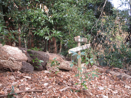 これもかつての登路の標識　昔は里から幾本もの登山道が西山の各山頂に通じていて、住民の生活が山とも密接に繋がっていたことが分かる