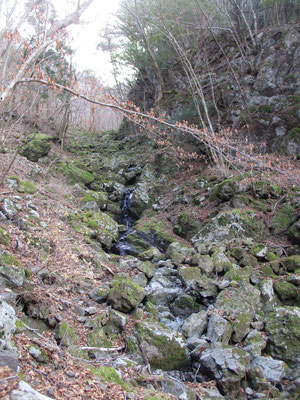 しばらく急登を頑張ると大きな岩がゴロゴロの沢に出くわします　一枚岩やちょっとした家くらいの巨岩もあり大迫力