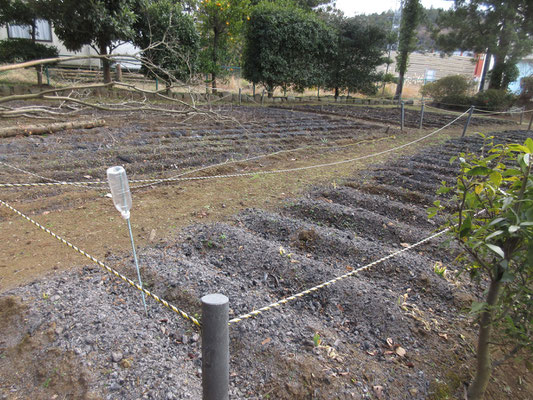 夏にヒオウギお花見会会場となる館山のヒオウギ田圃　今は手入れがされて休耕中状態　事務局の日々の手入れがあってこそのヒオウギの花