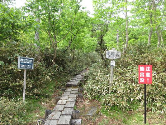 皆さんは早池峰山へ　こちらは薬師岳登山口