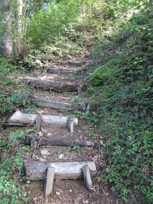 その急登　地元の里山らしく、それなりに段が付けられていて登りやすくなっていました