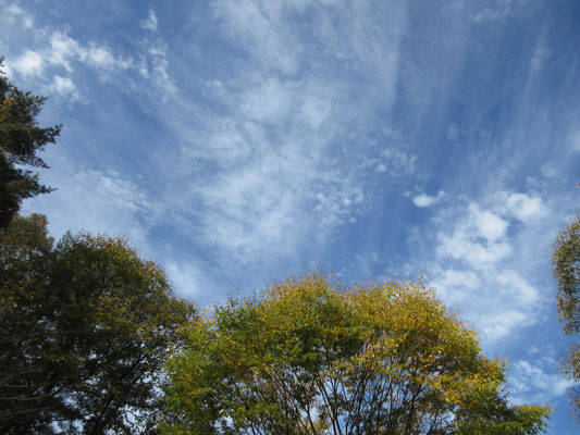 秋の空！