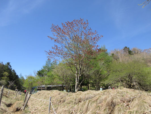 向こうに小屋が見えてくる