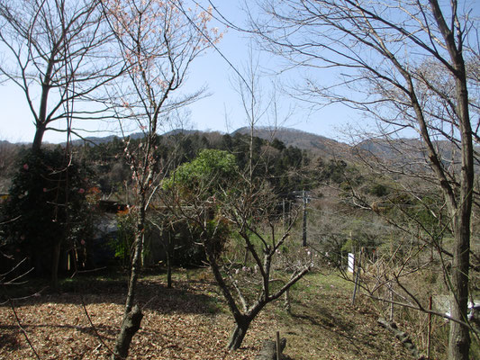 沓掛館山から西側には仏果山から並びの山並みが見える