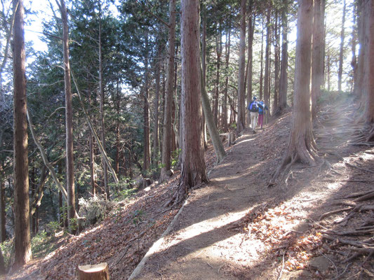 倒木がなくなり通れるようになった山道　めでたしめでたし