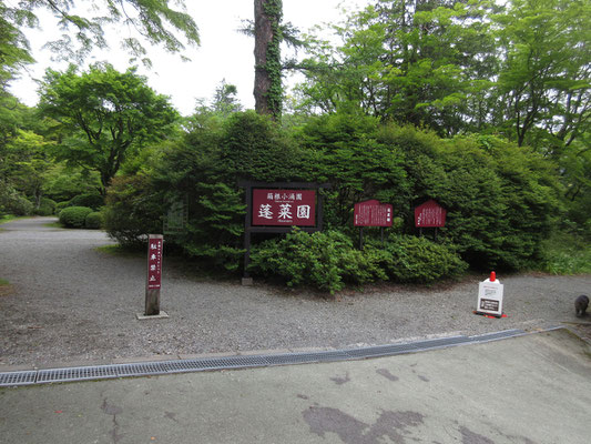「蓬莱園」という場所に出くわす　見れば庭園内を自由に散策できるとのこと　入ってみる