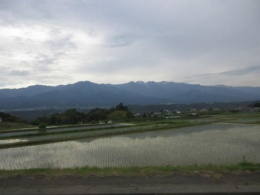 帰路の眺め　前景には早苗の田んぼ